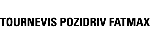 TOURNEVIS POZIDRIV FATMAX