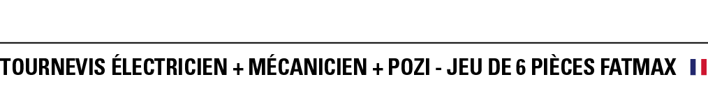 TOURNEVIS éLECTRICIEN + MéCANICIEN + POZI - JEU DE 6 PièCeS FATMAX 