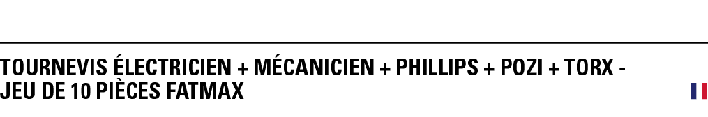 TOURNEVIS éLECTRICIEN + MéCANICIEN + PHILLIPS + POZI + TORX - JEU DE 10 PièCeS FATMAX 