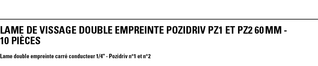 LAME DE VISSAGE DOUBLE EMPREINTE POZIDRIV PZ1 ET PZ2 60 mm - 10 PièCeS Lame double empreinte carré conducteur 1 4   -   