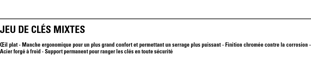 JEU DE CLéS MIXTES Œil plat - Manche ergonomique pour un plus grand confort et permettant un serrage plus puissant -    
