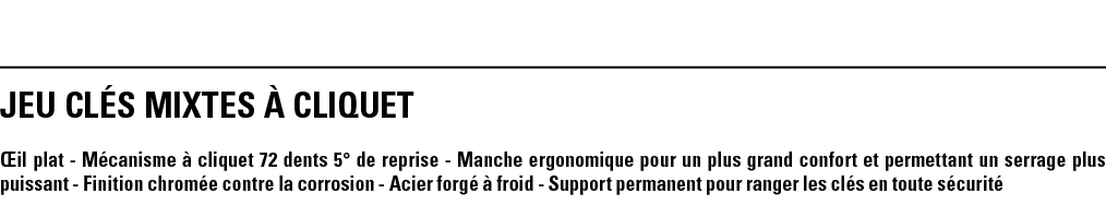 JEU CLÉS MIXTES À CLIQUET Œil plat - Mécanisme à cliquet 72 dents 5  de reprise - Manche ergonomique pour un plus gra   