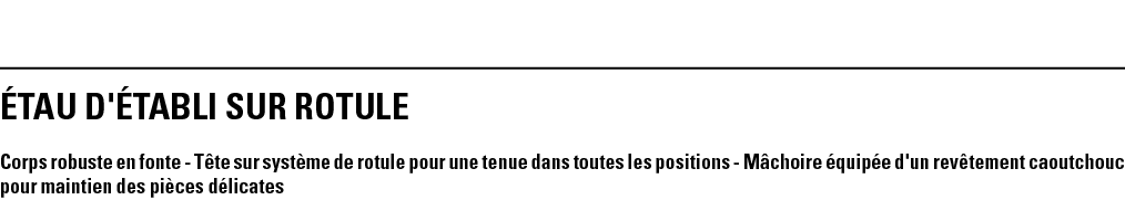 ÉTAU D'ÉTABLI SUR ROTULE Corps robuste en fonte - Tête sur système de rotule pour une tenue dans toutes les positions   