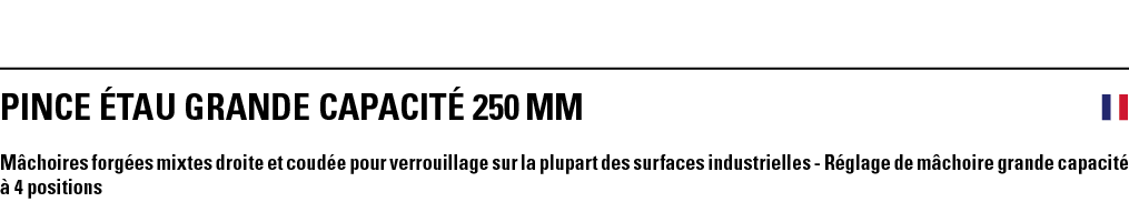 PINCE ÉTAU GRANDE CAPACITÉ 250 mm  Mâchoires forgées mixtes droite et coudée pour verrouillage sur la plupart des sur   