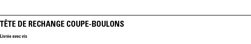 TÊTE DE RECHANGE COUPE-BOULONS Livrée avec vis