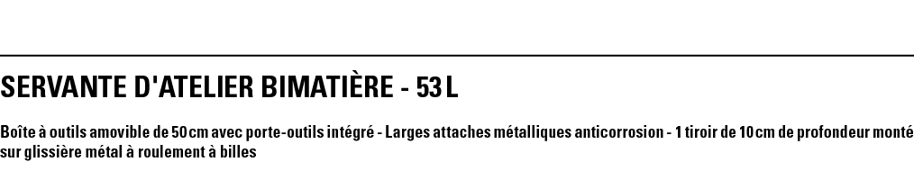 SERVANTE D'ATELIER BIMATIèRE - 53 L Boîte à outils amovible de 50 cm avec porte-outils intégré - Larges attaches méta   