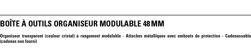 BOîTE à outils ORGANISEUR MODULABLE 48 mm Organiseur transparent (couleur cristal) à rangement modulable - Attaches m   