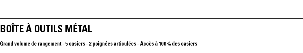 BOîTE à OUTILS métal Grand volume de rangement - 5 casiers - 2 poignées articulées - Accès à 100 % des casiers 
