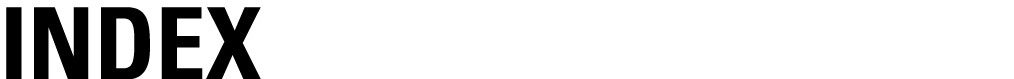  INDEX
