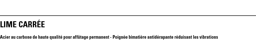 LIME CARRÉE Acier au carbone de haute qualité pour affûtage permanent - Poignée bimatière antidérapante réduisant les   